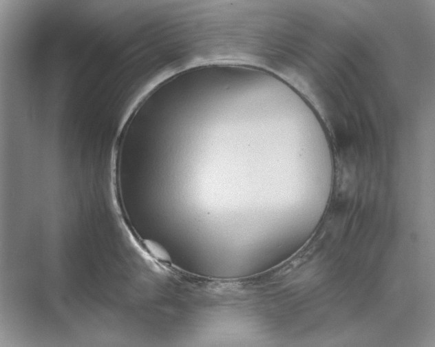 X0000070211006200606091619