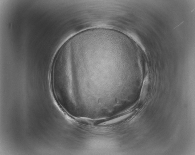 X0000070211007200606091619