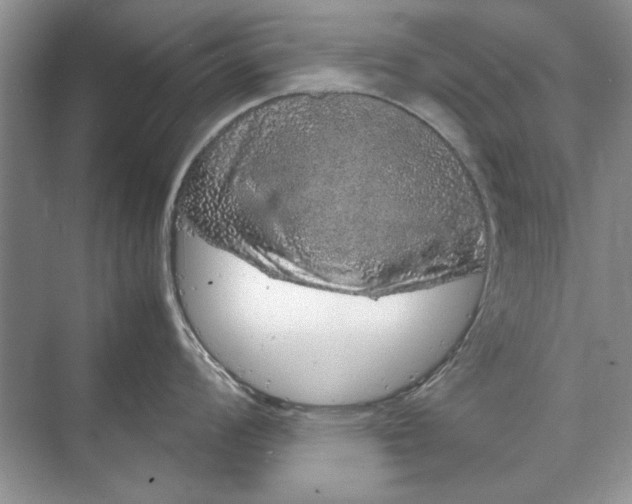 X0000070211008200606091619