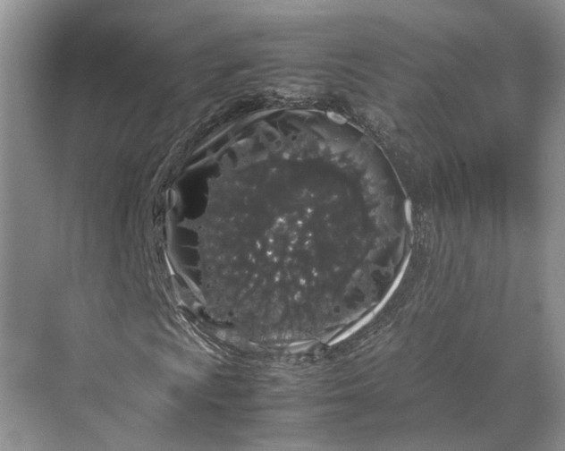 X0000070211009200606091618