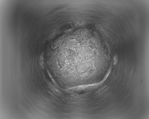 X0000070211011200606091619