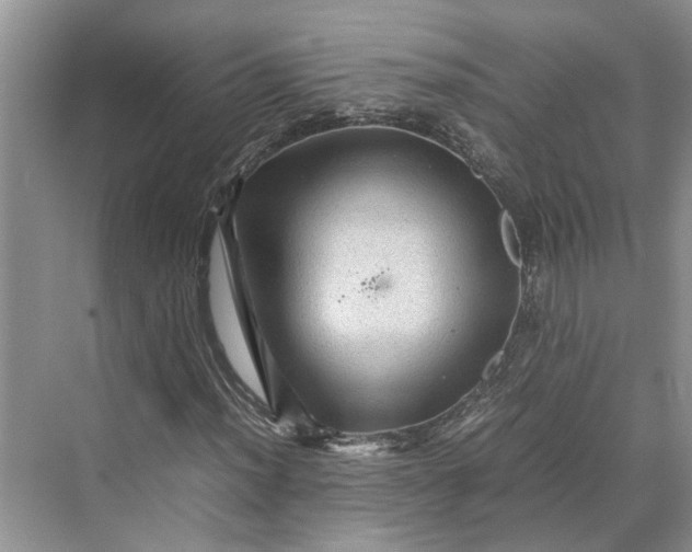 X0000070211012200606091619