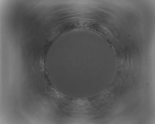 X0000070211013200606091619