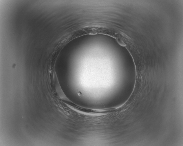 X0000070211014200606091619