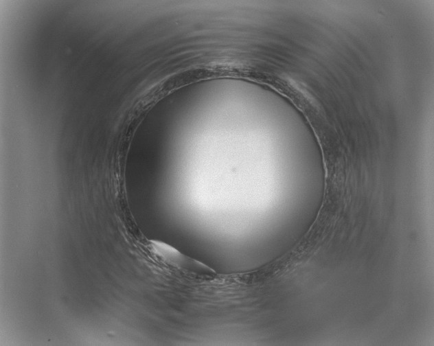 X0000070211015200606091619