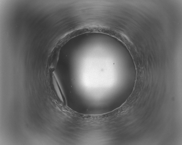 X0000070211016200606091619