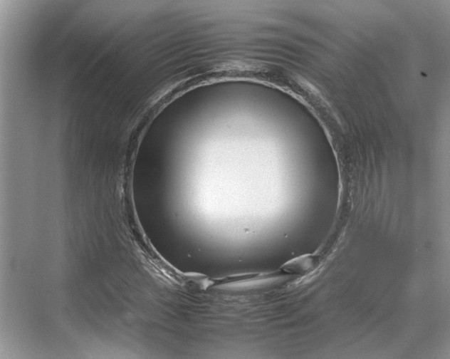 X0000070211017200606091619