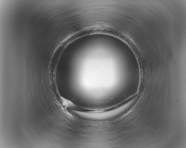 X0000070211018200606091619