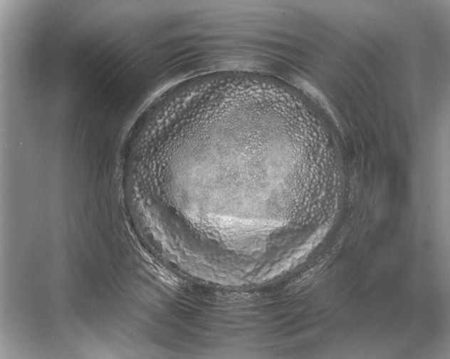 X0000070211019200606091619