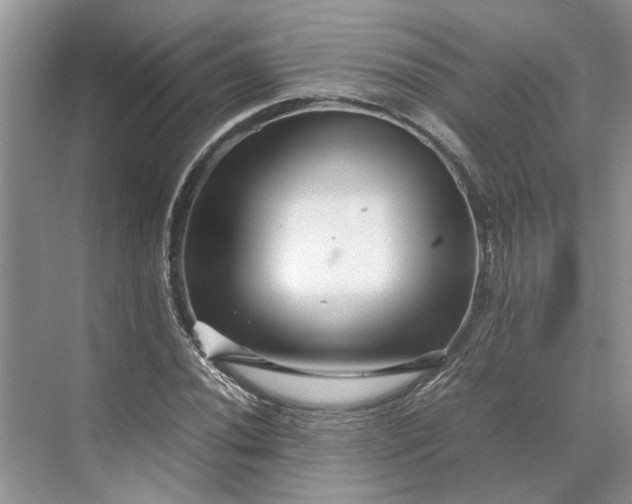 X0000070211020200606091619