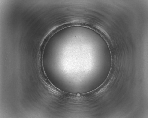 X0000070211021200606091619