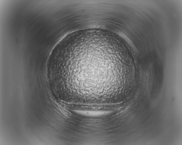 X0000070211023200606091619