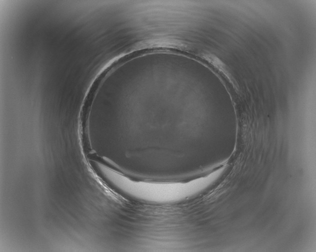 X0000070211024200606091619