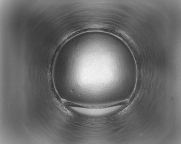 X0000070211025200606091619