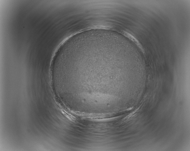 X0000070211027200606091619