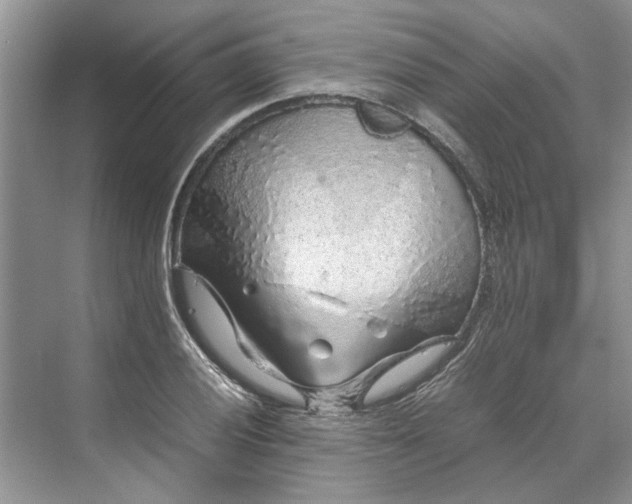 X0000070211028200606091619