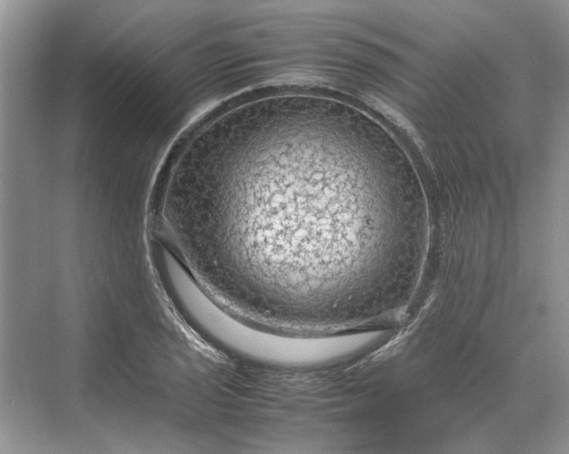 X0000070211029200606091619