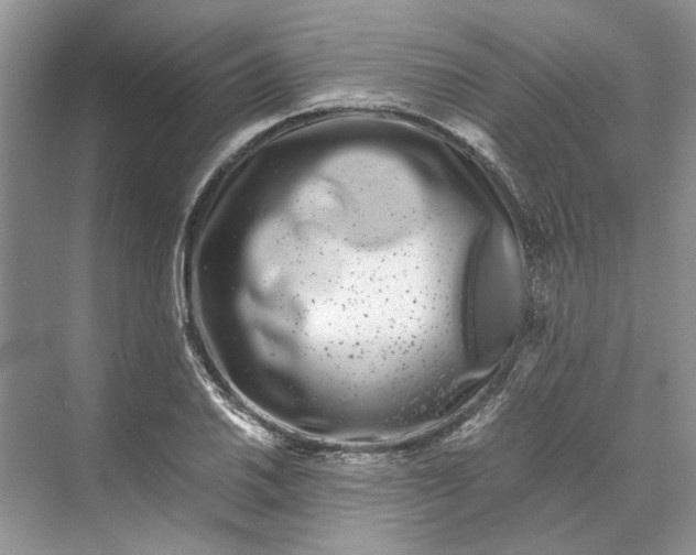 X0000070211030200606091619