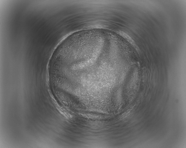 X0000070211031200606091619