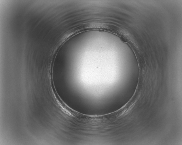 X0000070211033200606091619