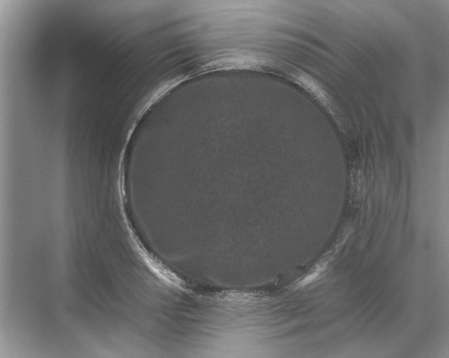 X0000070211034200606091619