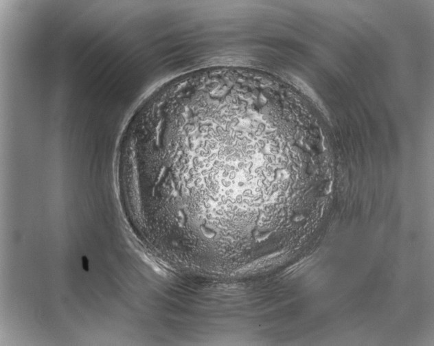 X0000070211035200606091619