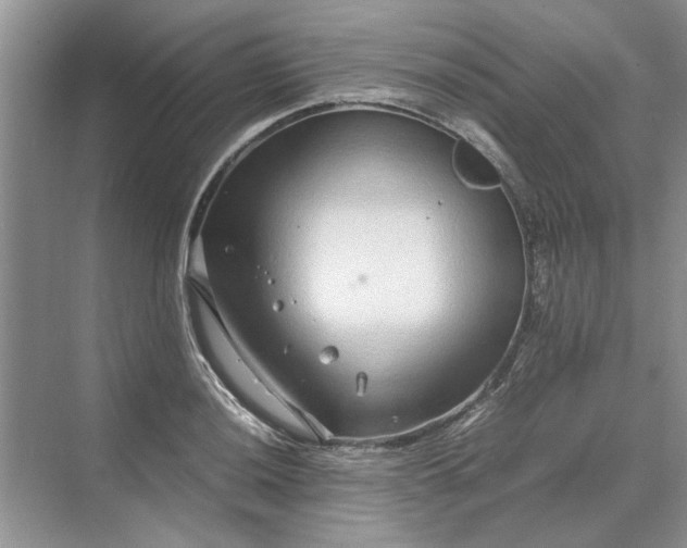 X0000070211036200606091619