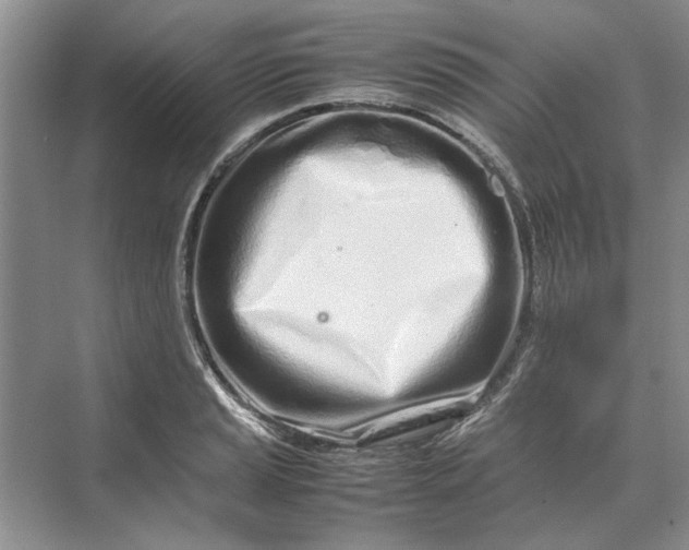 X0000070211037200606091619