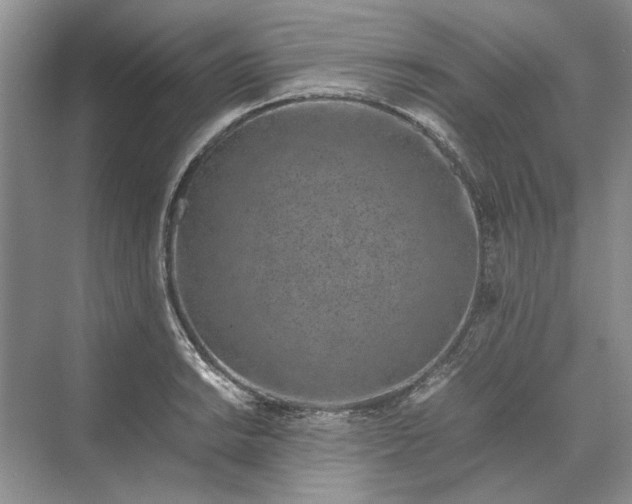 X0000070211038200606091619