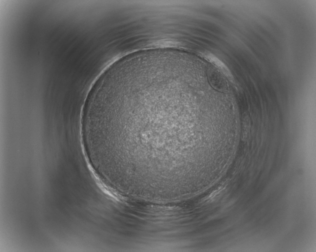 X0000070211039200606091619