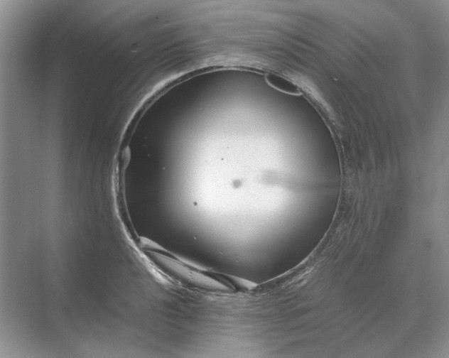 X0000070211040200606091619