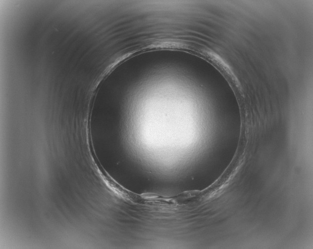 X0000070211041200606091619