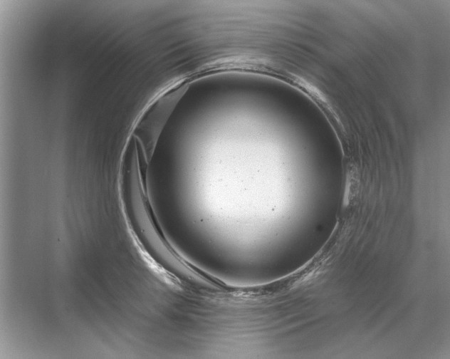 X0000070211042200606091619