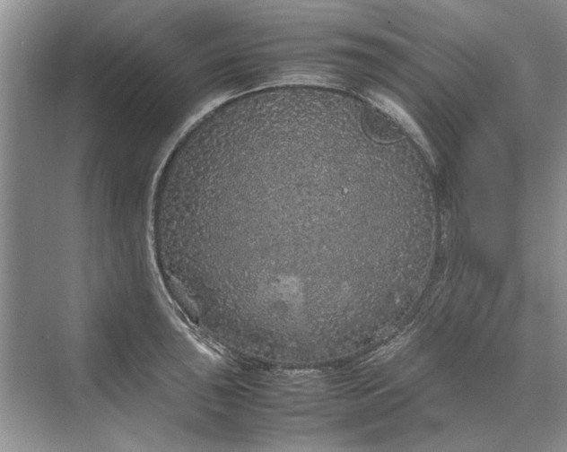 X0000070211043200606091619