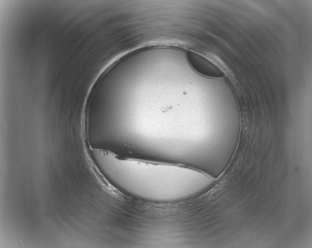 X0000070211044200606091619