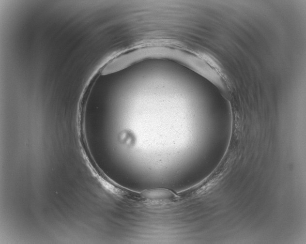 X0000070211046200606091619