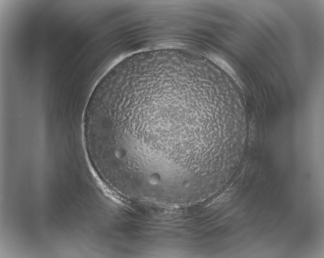 X0000070211047200606091619