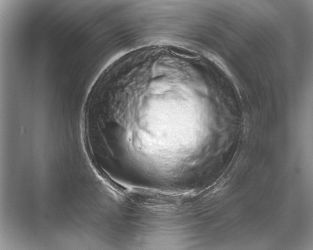 X0000070211048200606091619