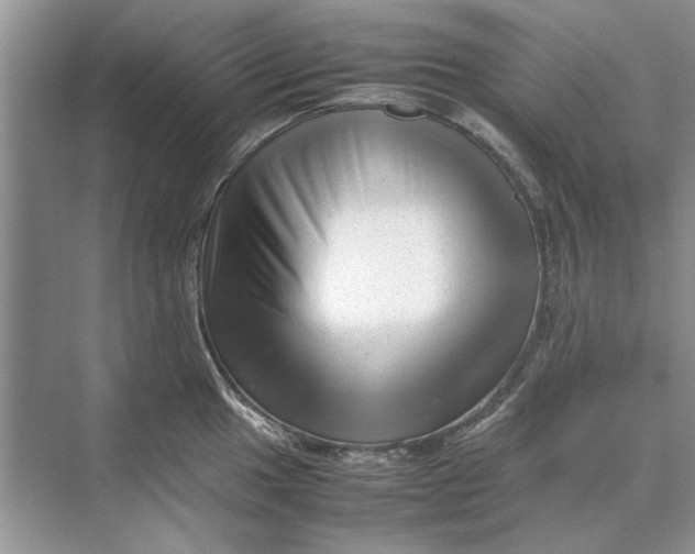 X0000070211049200606091619