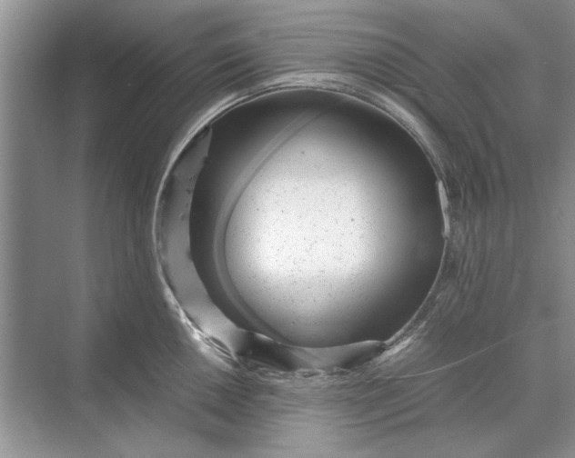 X0000070211050200606091619