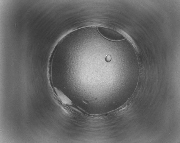 X0000070211051200606091619