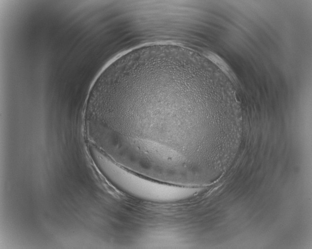 X0000070211052200606091619