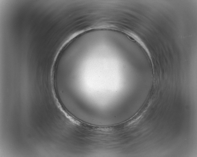 X0000070211053200606091619