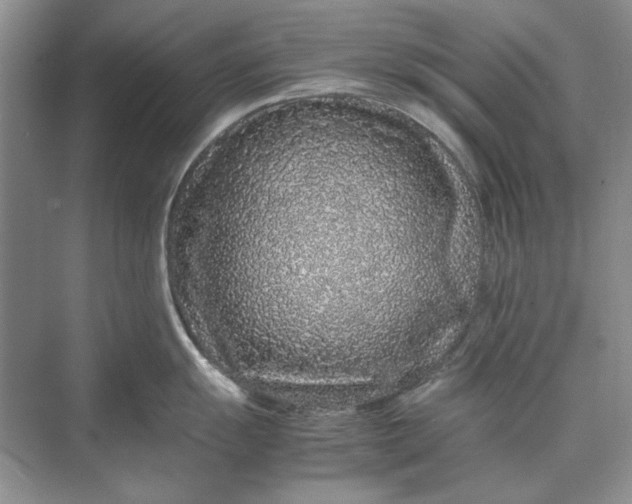 X0000070211055200606091619