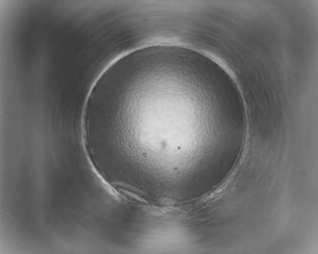 X0000070211056200606091619