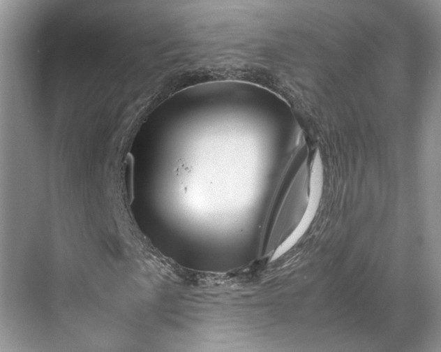 X0000070211057200606091618