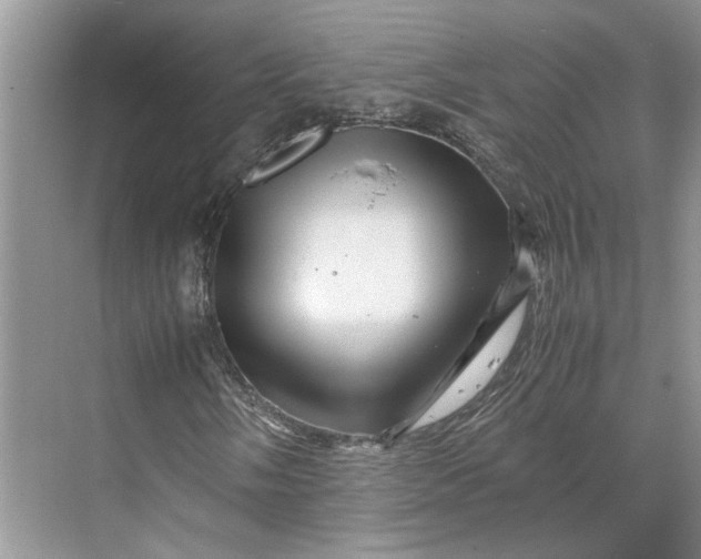 X0000070211058200606091618