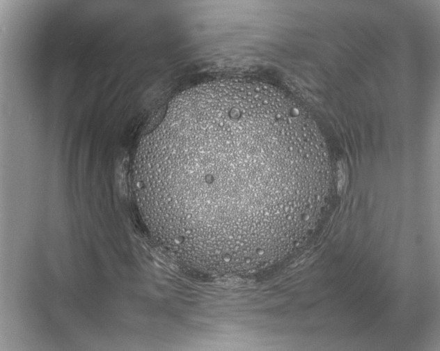 X0000070211059200606091618