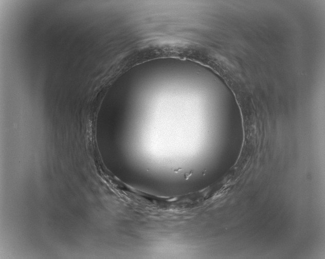 X0000070211061200606091618