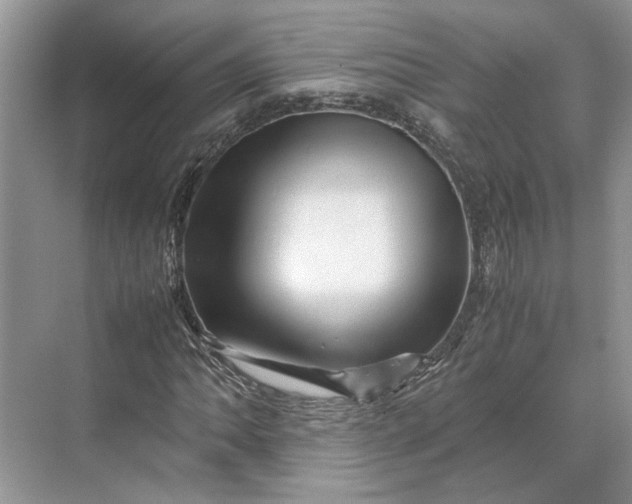 X0000070211062200606091618